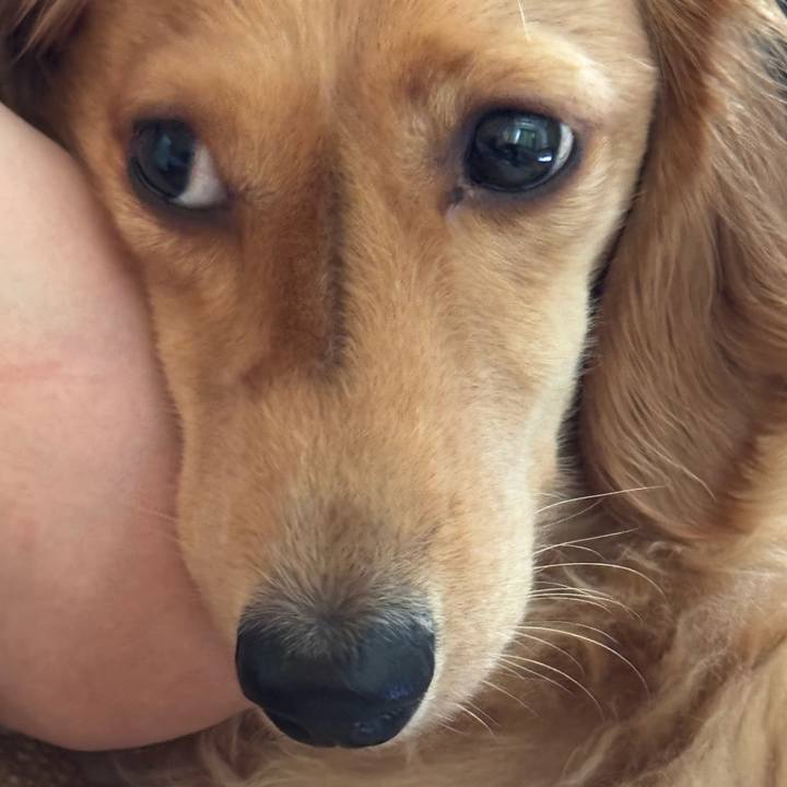 52eee3f8 7ce7 4b58 9714 419e89c37533 1753076891483