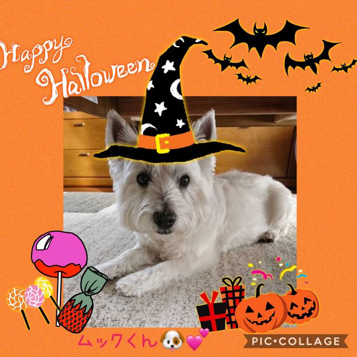 52eee52e 40e3 47c8 a49b 70ad4e7419d3 1571928448300