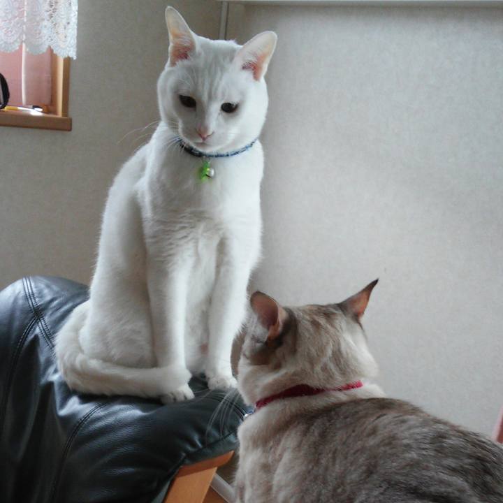 52eef007 5e43 4f66 af91 876589640f8a 1517827801388