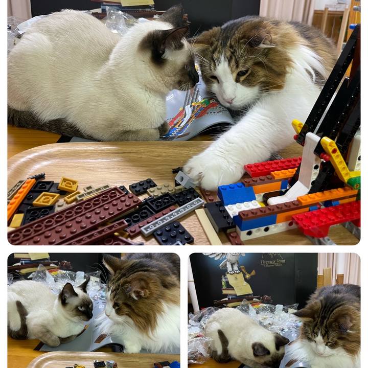 52ef0e54 0330 46f0 881b ac9edbccb746 1700991539913