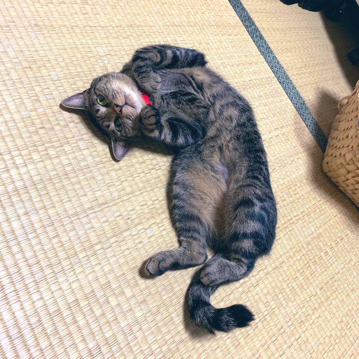 52ef1a3b 741f 443a a12d 73f7c3f5b4cf 1562767491884