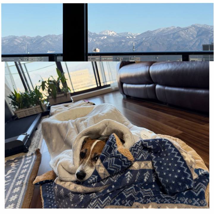 52efbf0d b0aa 484d 97d4 75cc19af78a7 1764996753222