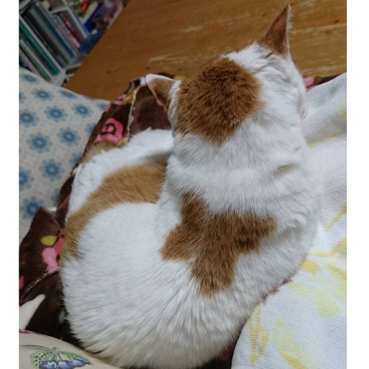 52efe123 7bf0 4974 bf40 bc92a6bc6443 1682131185498