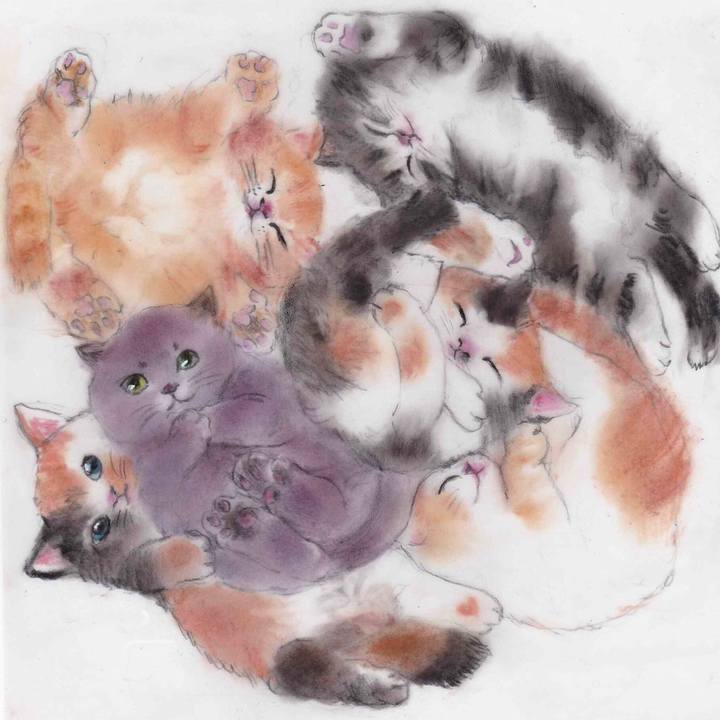 52f02e1d 5283 4780 96f6 4c509109cd00 1606748320917