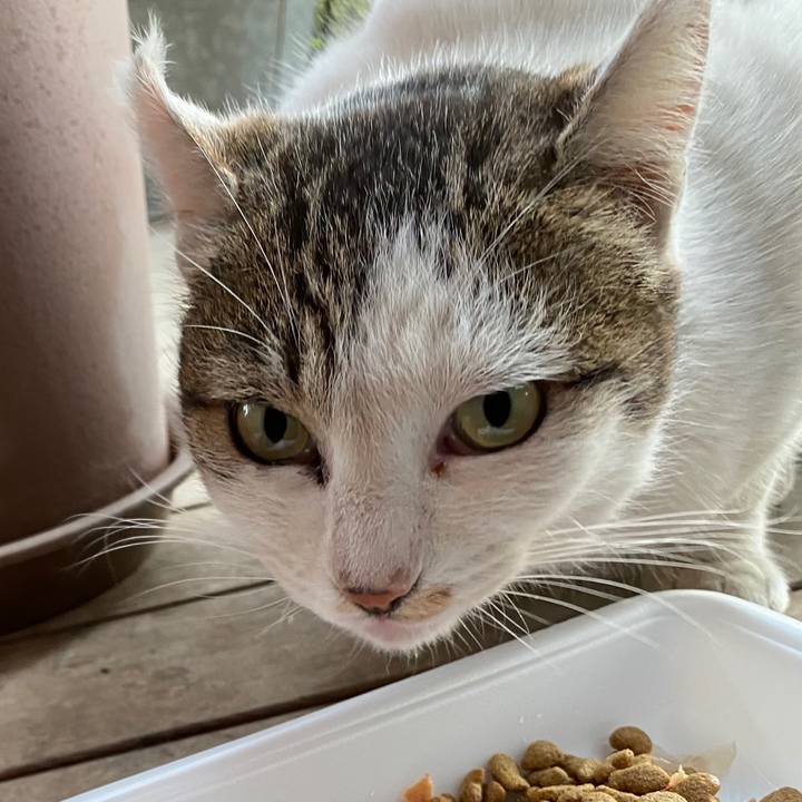 52f06b5c 9b9b 4149 bd51 eaa4db9ab806 1609753989091