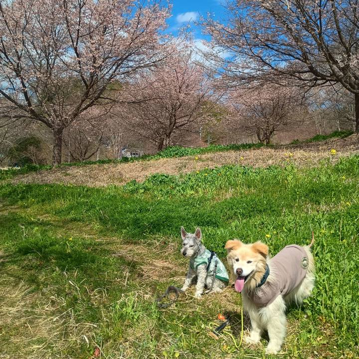 52f07679 4301 4d1e b787 c2efe65f314e 1774009579463