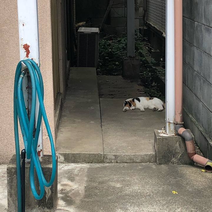 52f09705 975a 4dad 8ed7 7946caf1407a 1566719064247