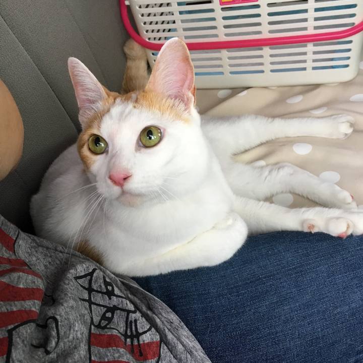 52f0a93b 5e63 4cd2 a886 6aa578601655 1531022396520