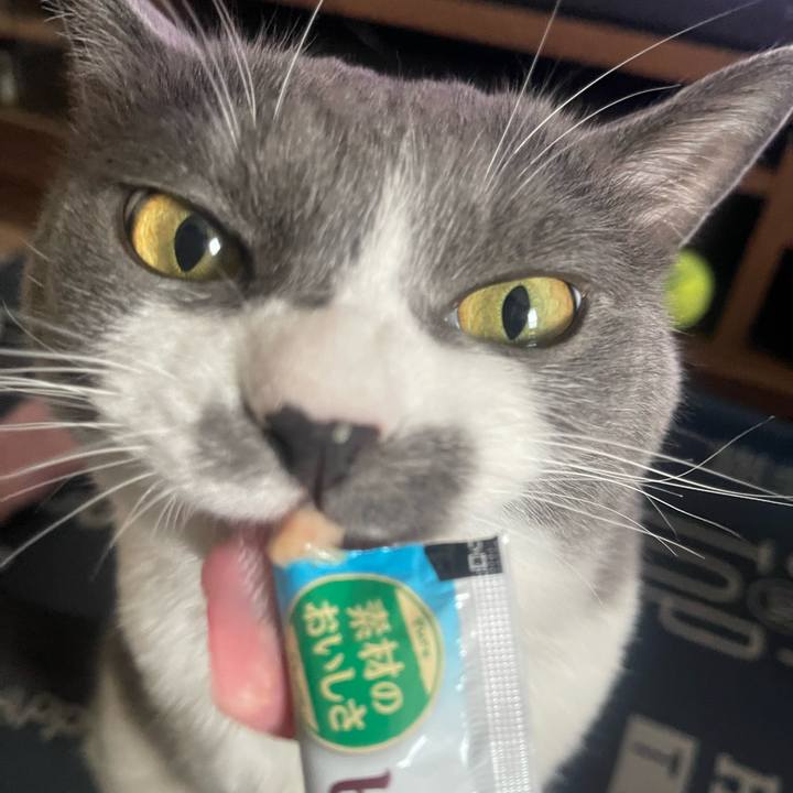 52f0abe4 9258 466c 9fdf bfbf0aa7f374 1720248114292