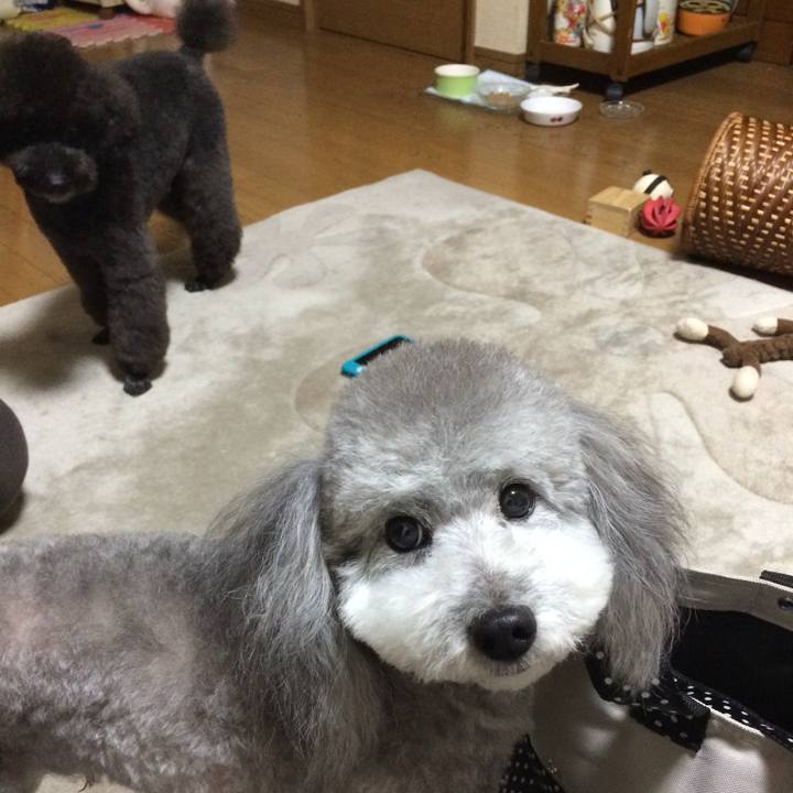 52f0c48b 0749 4035 bfed 5a6a0b34bf51 1765154776121