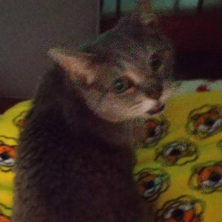 52f12000 579e 465a 801f 2a52691ad576 1682892494081