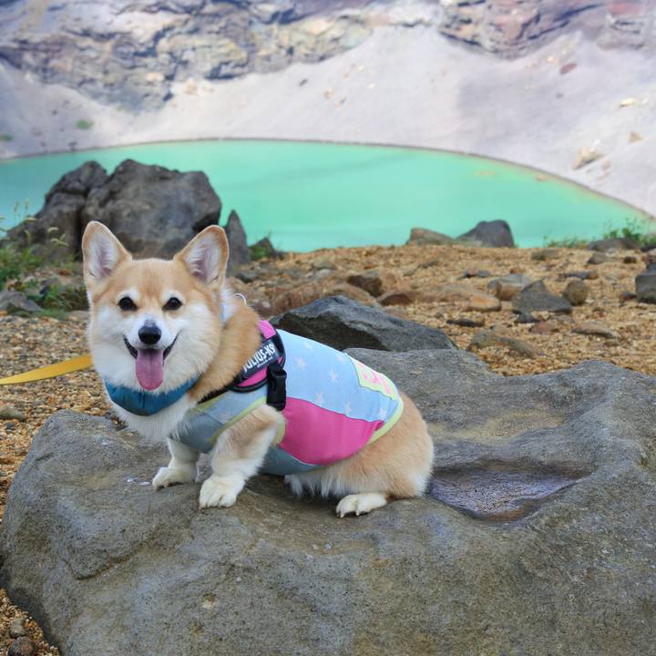 52f12996 841b 4416 8073 0f09bcfdae06 1731154800415