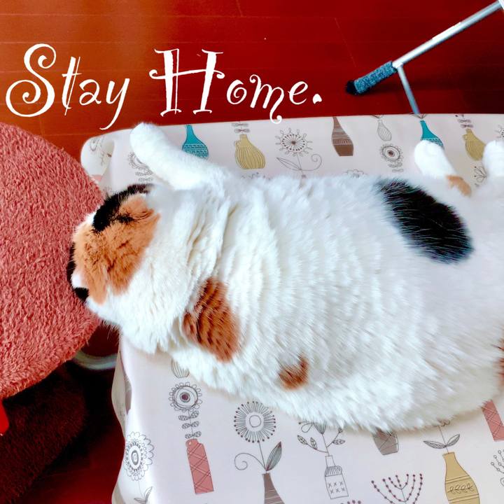 52f1aec1 b6da 4ec0 9cc5 7fef8bdc2005 1588212129395