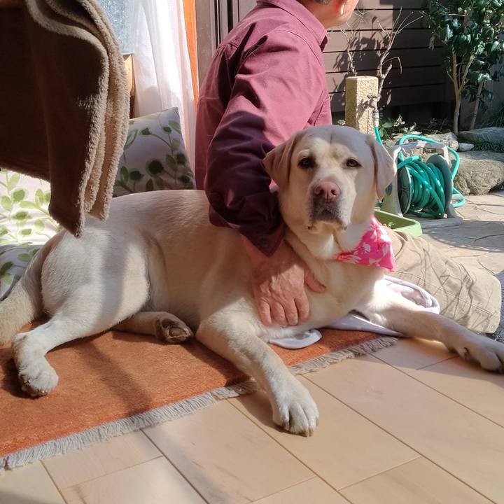 52f1e580 b31c 4a59 ad93 9b07e7d5cf3b 1550896812066