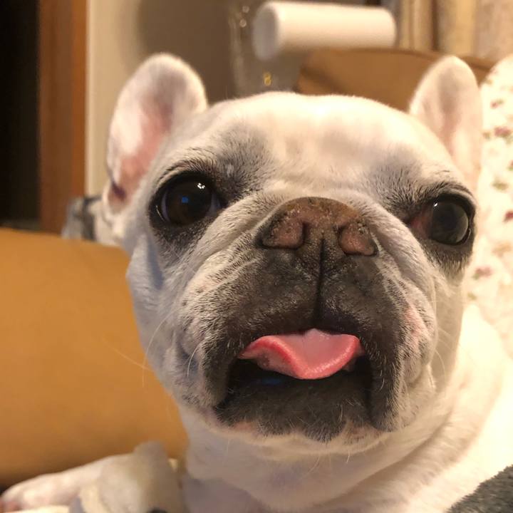 52f1f50c 4405 4794 ae29 44b569f123c5 1680793421233