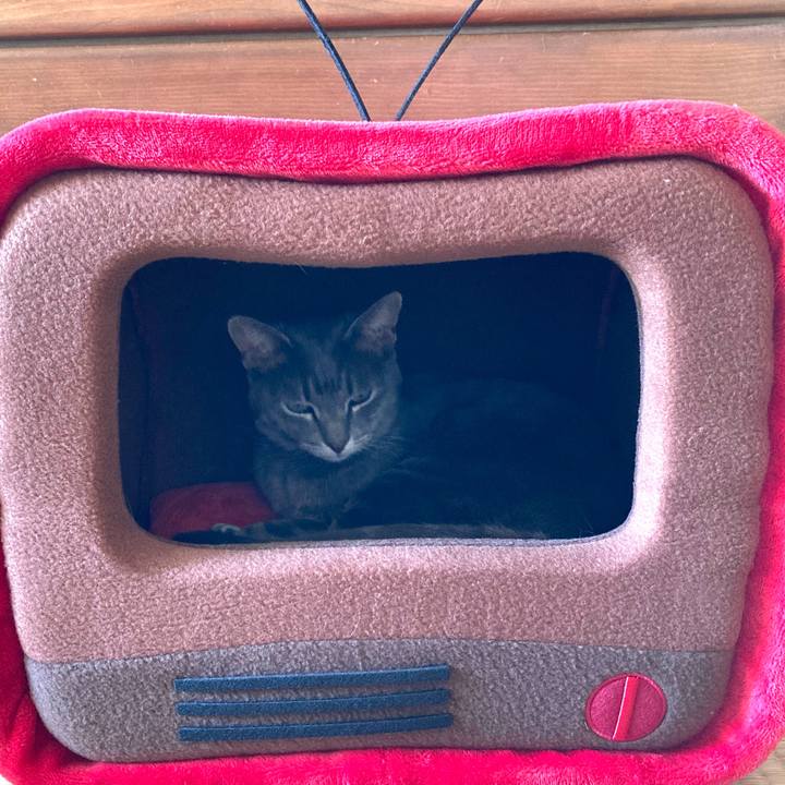 52f2003a f607 4b8d a4b3 813471e10189 1603951715612