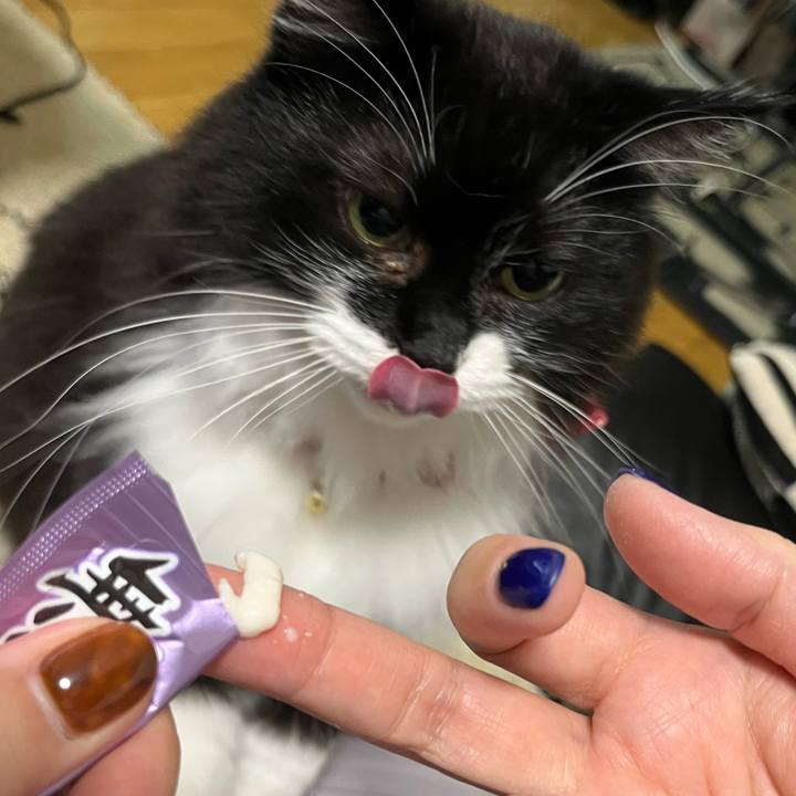 52f284a4 60db 48b9 acdb 81ad216fc55a 1764566213338