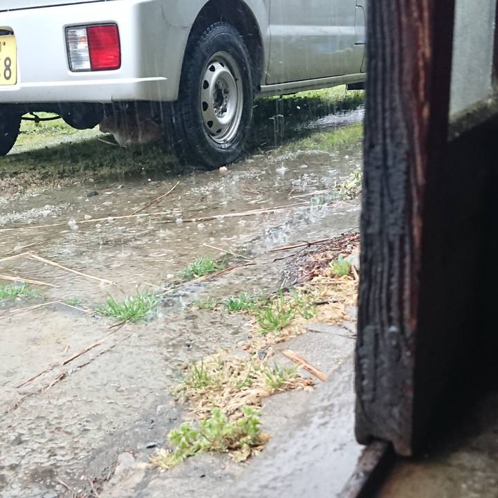 52f2cf8e 885d 445c beb0 b8f88e323523 1587193783716