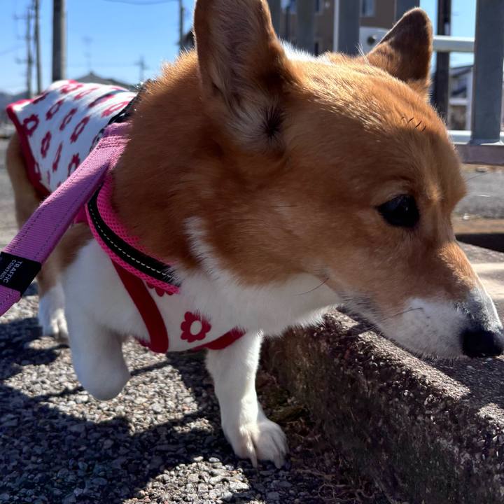 52f3015f 2e16 49b0 9679 0cf2a20c5b39 1740629213363