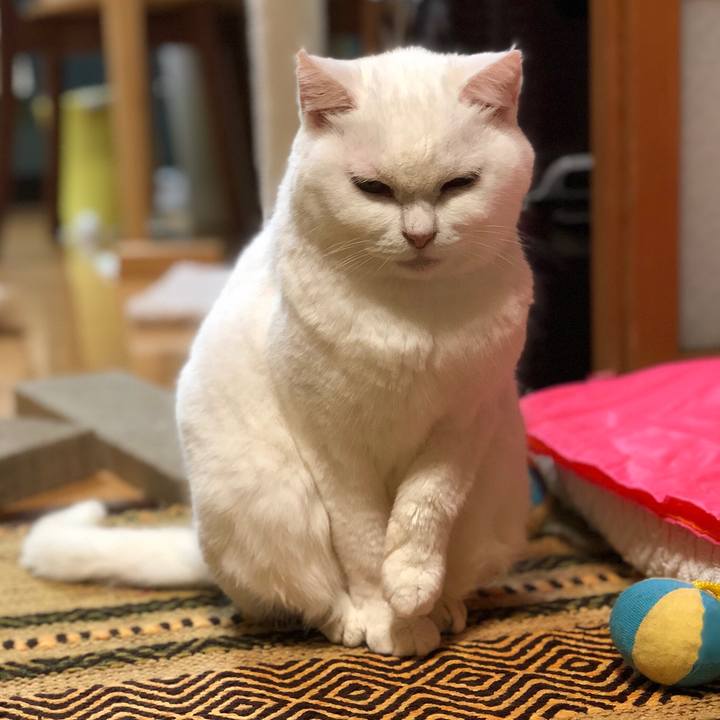 52f31541 56f6 49fb 811a 83bca1ab671e 1537791510406