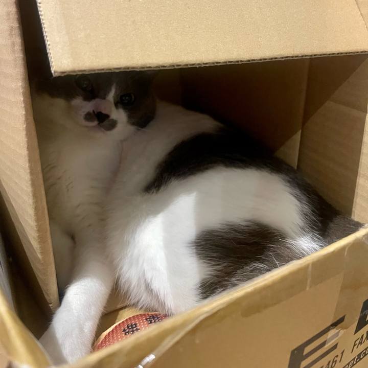 52f31eb4 668c 4ca8 9fe8 1542db2b6096 1652703458582