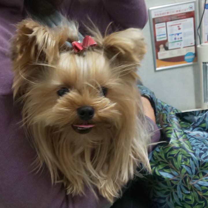 52f32bf3 0a4d 4e50 95d4 333fcea5c866 1639742118099