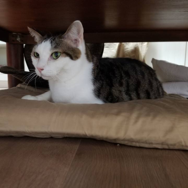 52f345aa 3ec7 45b2 9f51 12296e66d46f 1618172158795