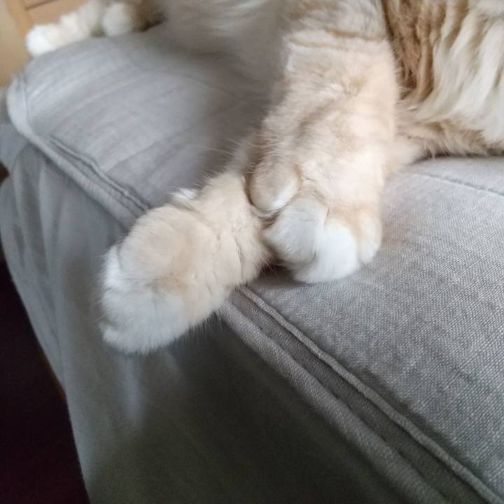 52f3520f 5405 4fa7 a744 e0015fa4aa2f 1630895200890