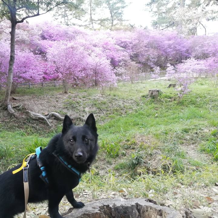 52f35a4d 8978 4cdd 9b11 a64bd2c3b0fa 1680474382806