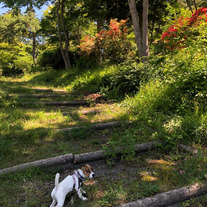 52f3cd8f 12d0 486a 8d6c c9ab3c73a3af 1528949848780