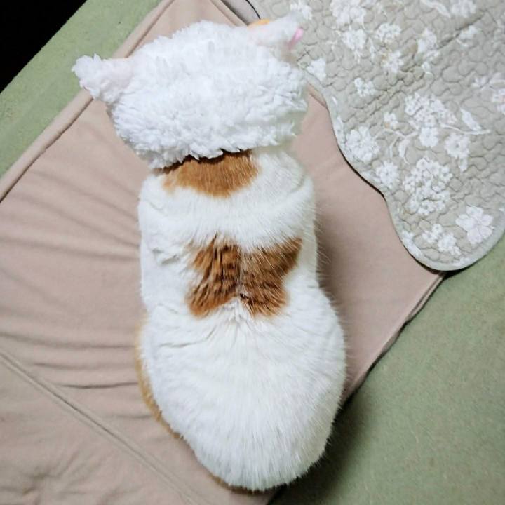 52f3d679 1c42 4e30 aec5 b6e7da39adba 1723810068272