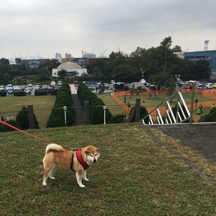 52f3e5c8 5ef1 4d8a 8dc0 db6090dcb177 1604376839633