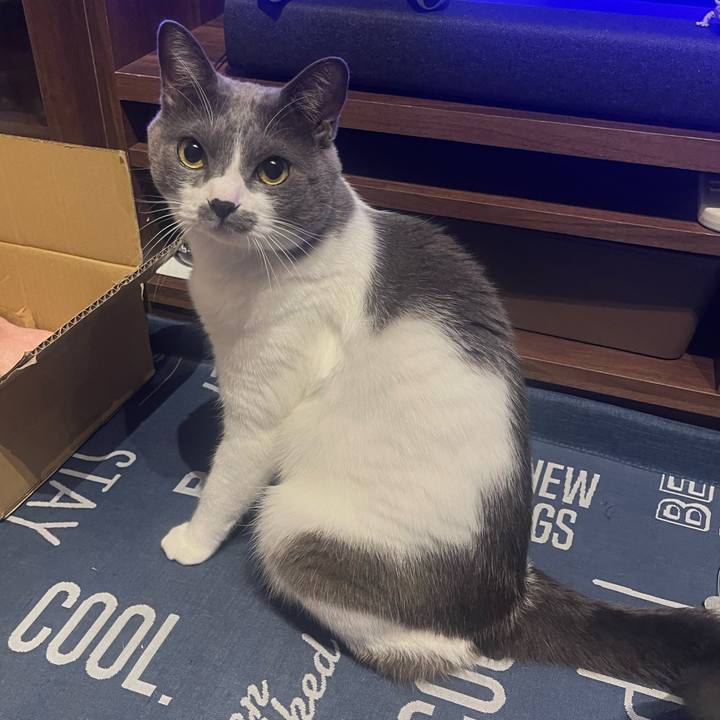 52f3f16f d892 4ec6 a8cd a247dbc54e32 1699282316631