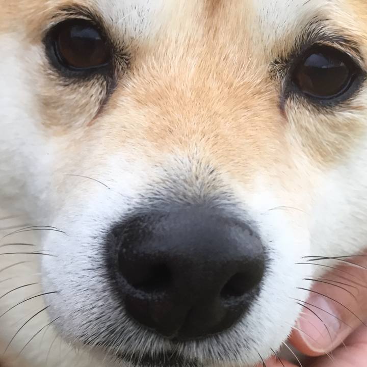 52f41a1a 4b74 490a 9671 144c612c5e61 1523708475980