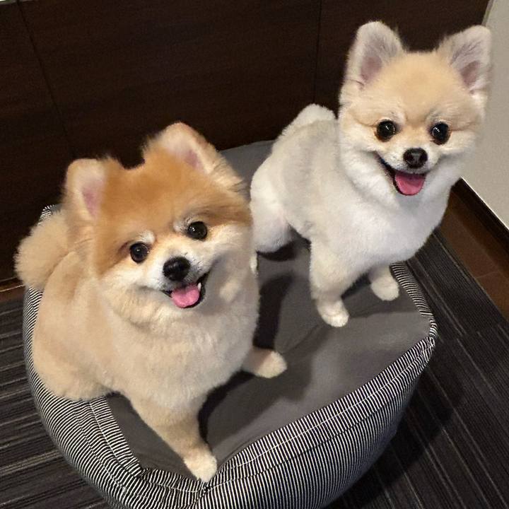 52f44de7 d093 4d3a 9099 c28e8d5c6690 1729337629505