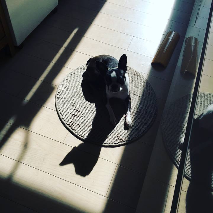 52f47f8c 166a 4887 b142 cb3c9bf872b3 1527815290412