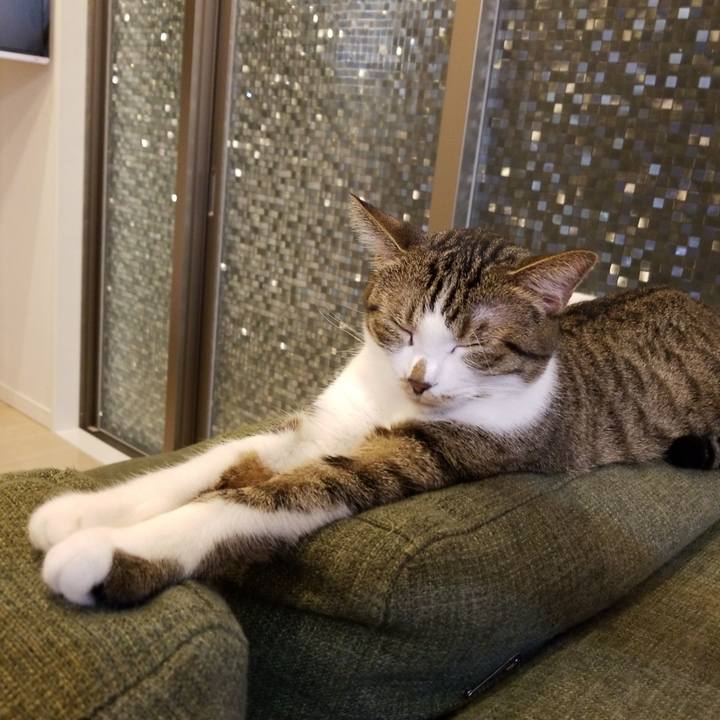 52f4968c 0295 476a 80c1 bb0911d3cdaf 1539344749432