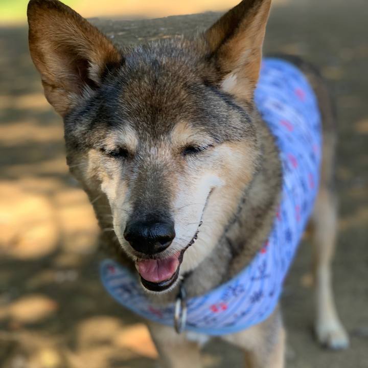 52f4ae63 63e6 4d8c bae0 841ad15e9c1f 1566651833121