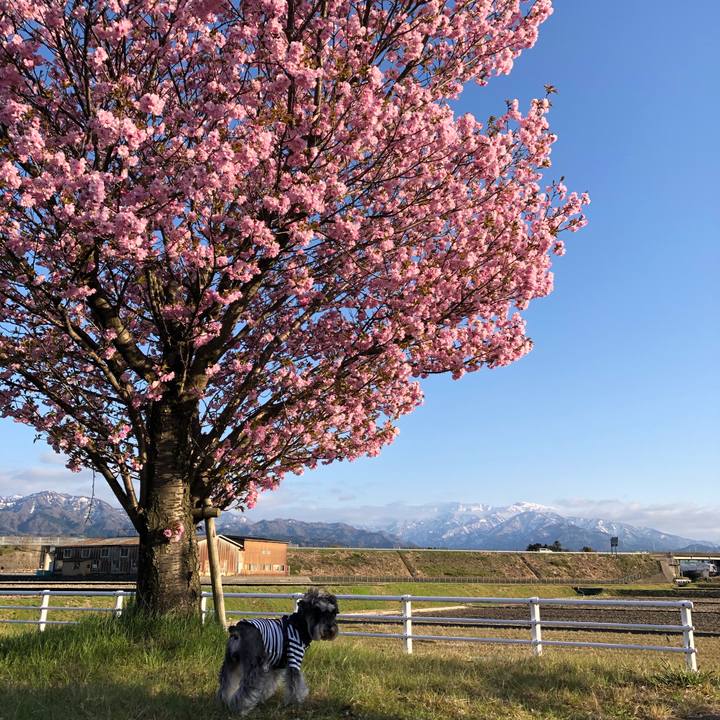 52f4cb12 87be 4056 9365 b0bf8e27fd25 1618064872875