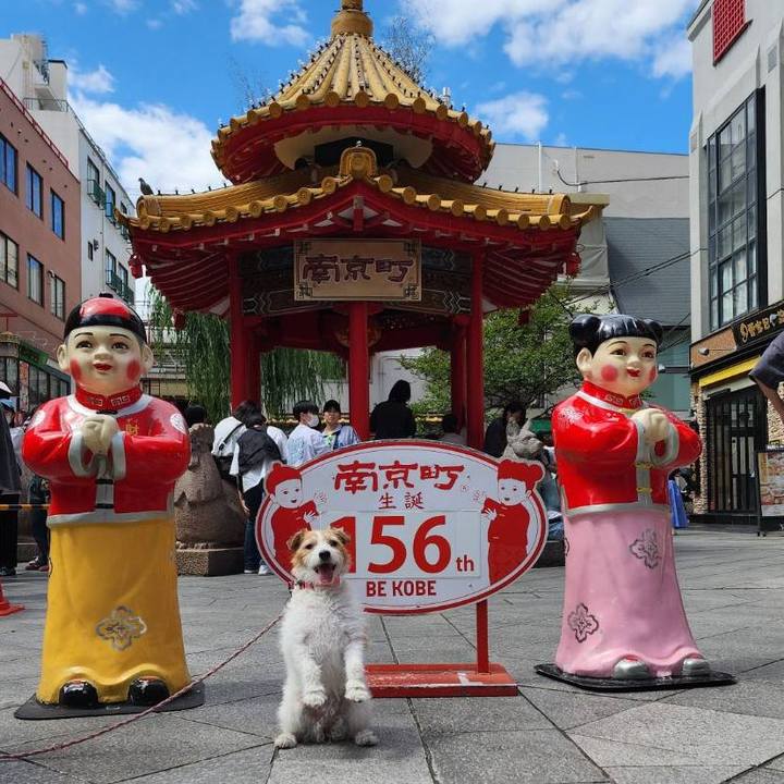 52f4d26e b12a 4823 8e10 7341a2168bc4 1717483984468