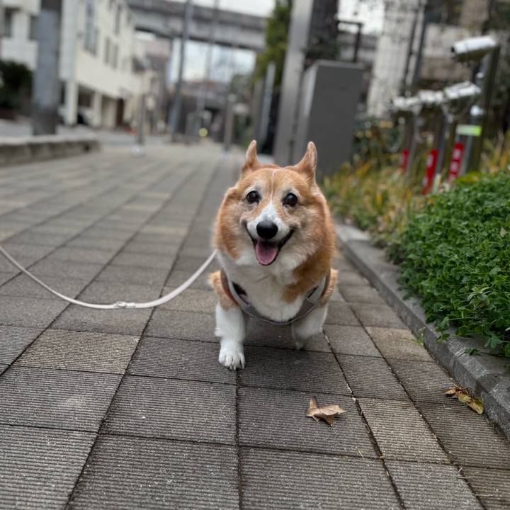 52f4e895 1ed4 4ae8 af9c 66147a327bca 1766216539297