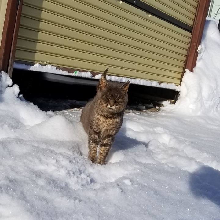 52f4f486 08b6 49d9 aec5 0484e9b0d36c 1548592102699