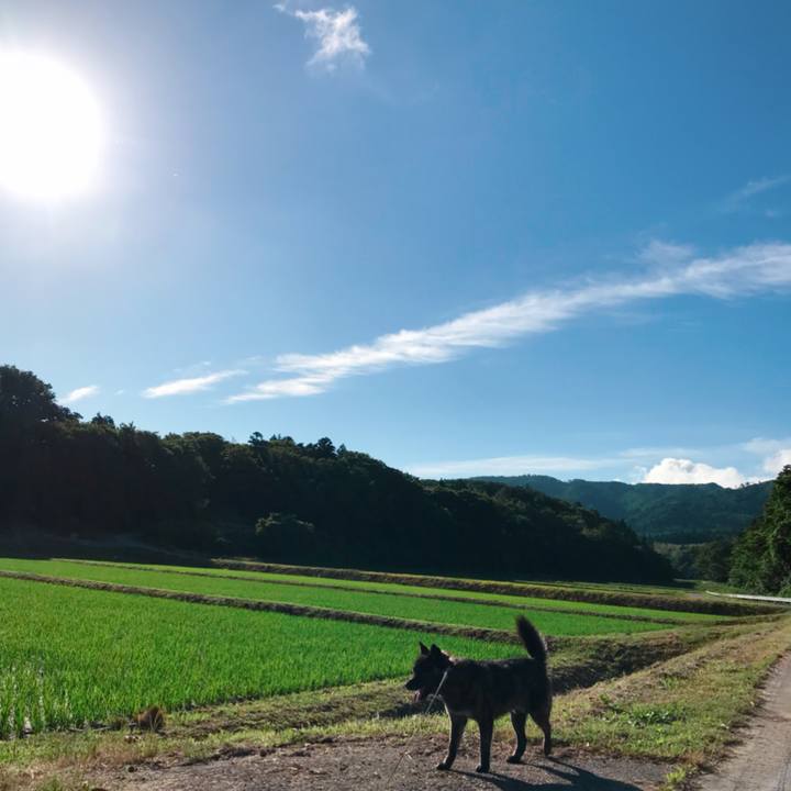 52f539af 6b7b 48ba b7c2 52248bdcb6d3 1529636304301