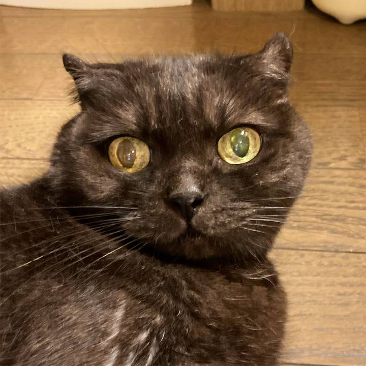 52f544c0 b312 4031 b817 cc6c72abc2bf 1632226100340