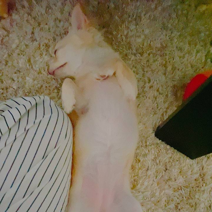 52f54956 b1c0 4d03 b0bd 09a636bc4f49 1629402106797