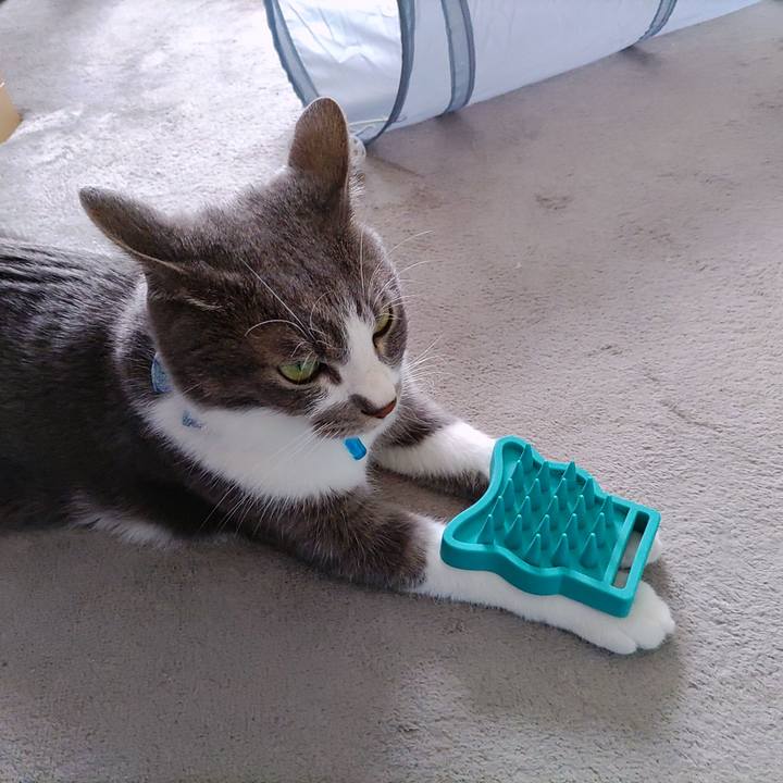 52f5e8f7 8860 4ed2 bfbb 12b413842881 1666861840090