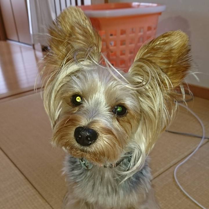 52f5fd4b 97ef 457e a050 b2b58b376342 1534464970316