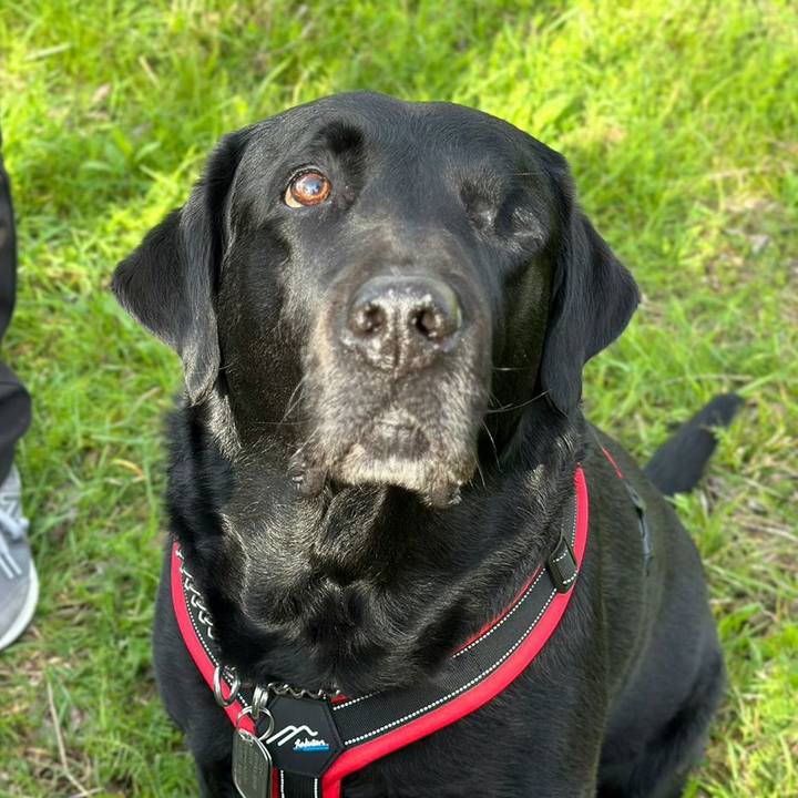 52f60cef abe2 4a7f b5c7 ea3ff3fde70b 1679918939810