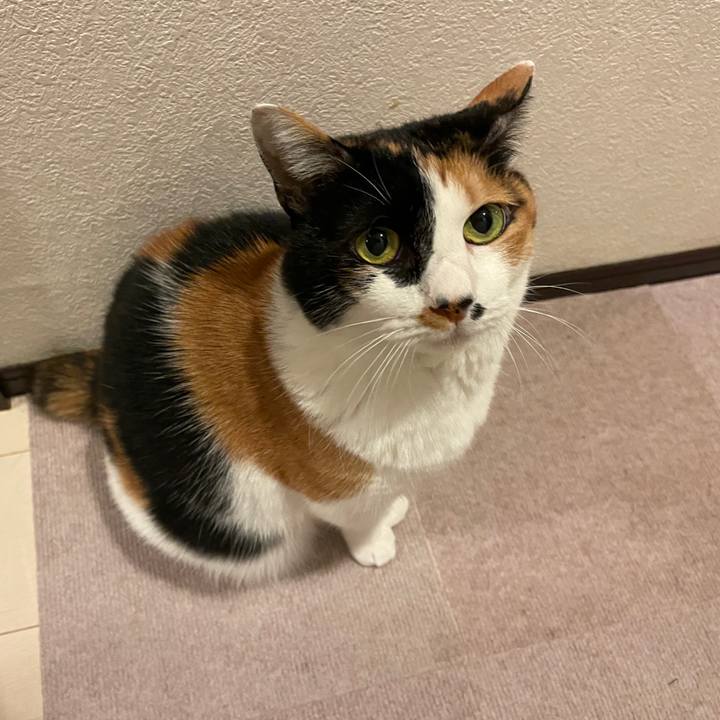 52f62848 a2f9 435e bbe8 433505555cd2 1704031558988