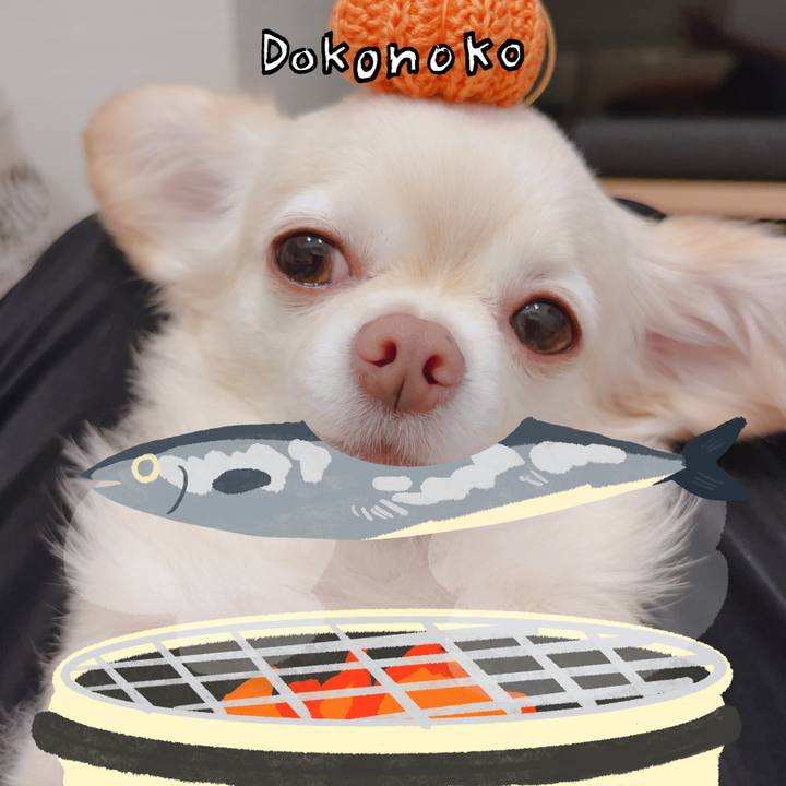 52f65105 b6f3 4cfe 9d2e f295d4f11b10 1761223881504